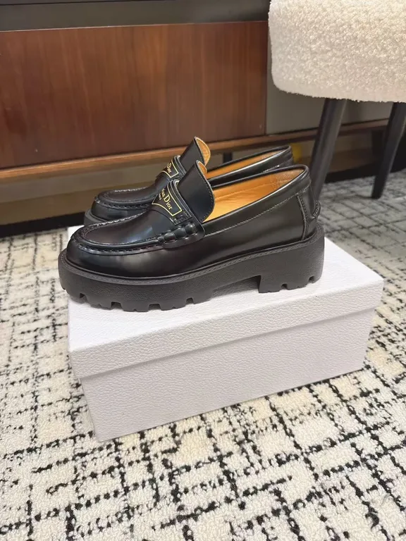 Dior Shoe 